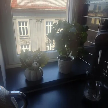 Niebieskie Migdaly Na Mariackiej Apartman Katowice